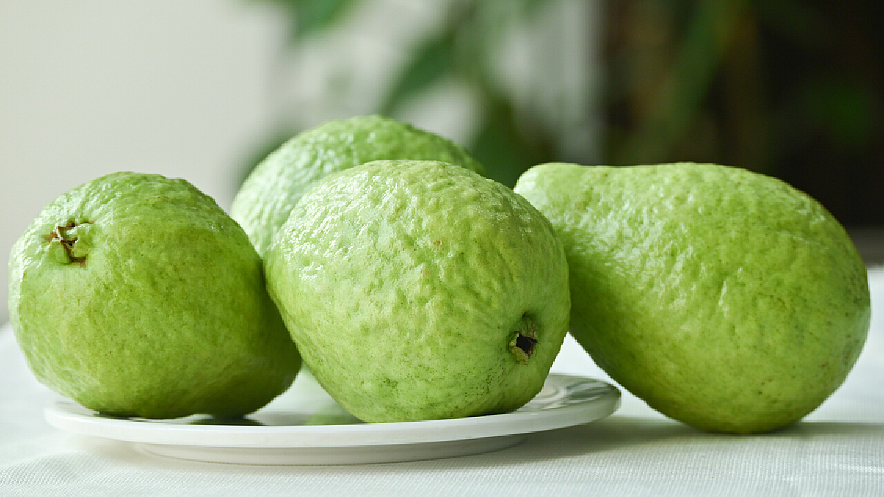 芭乐最新,芭乐最新,从起源到现代,探究其在特定领域中的地位与影响