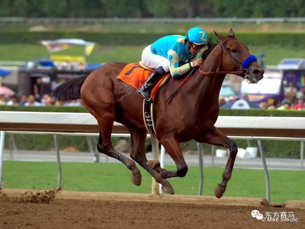 Seku最新技能学习指南大全