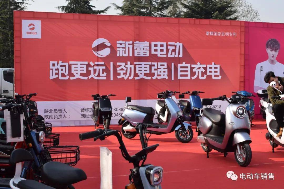 新蕾最新,探索前沿科技的影响与观点