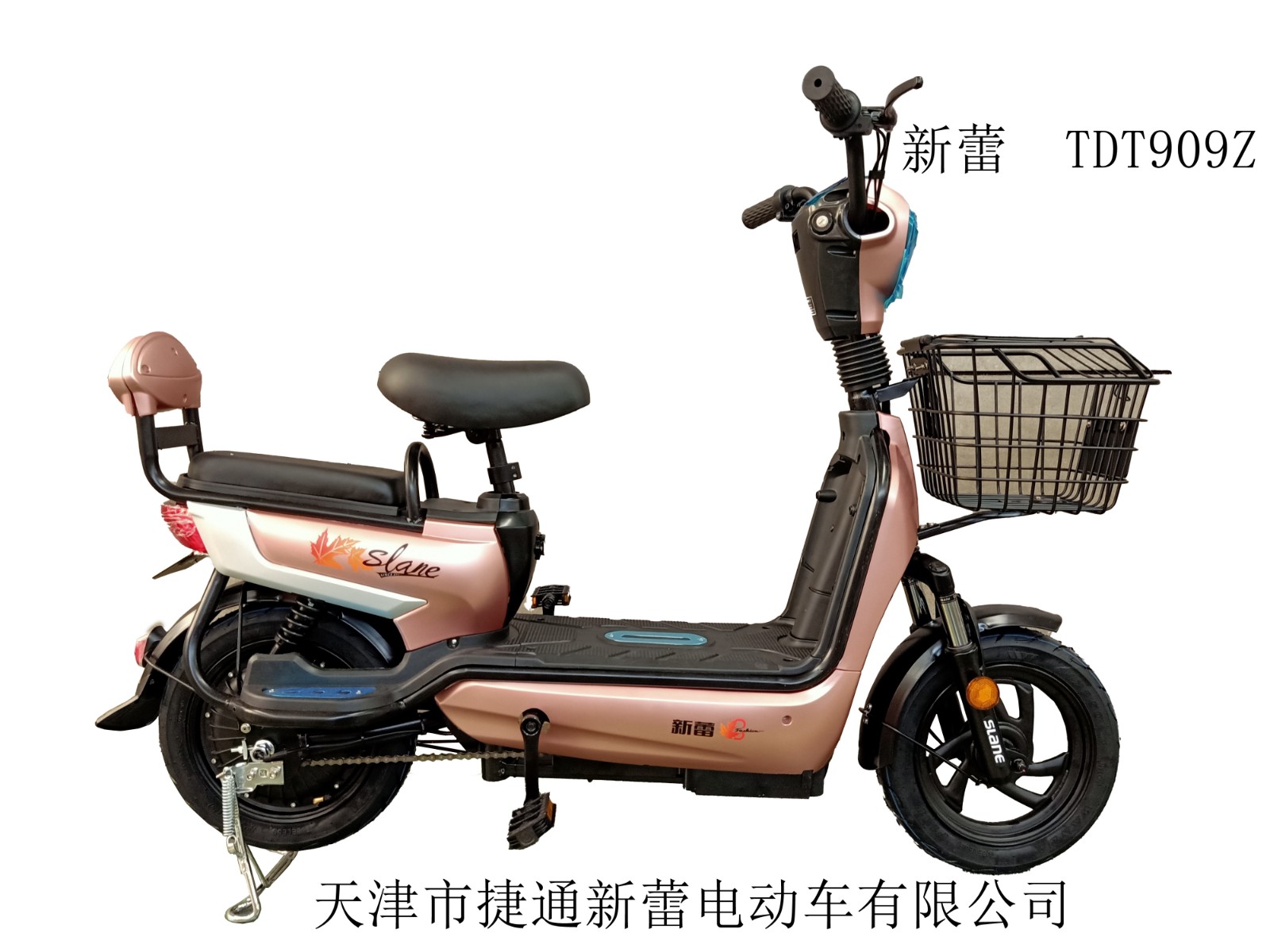 新蕾最新,探索前沿科技的影响与观点