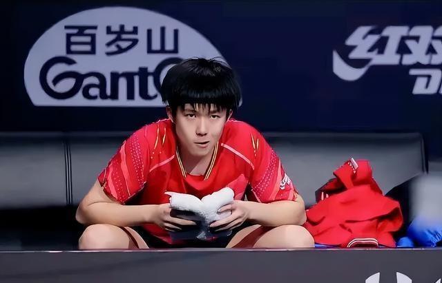 最新阵痛,揭示时代背景下的印记与重要事件地位