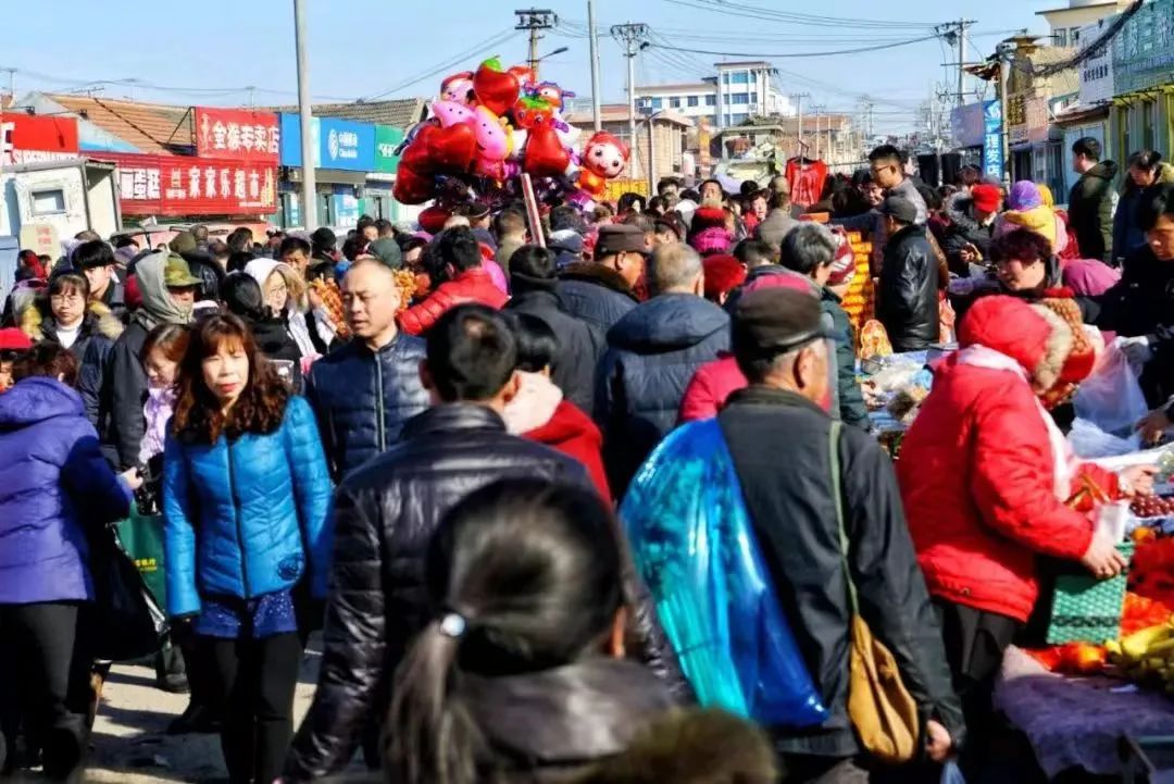 最新赶集现象，背景、事件、影响与时代地位探索