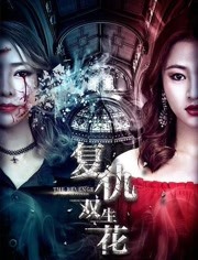 双生花电视剧,深度解析魅力与价值