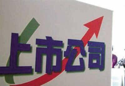 上市公司,背景、历程与时代印记的探究