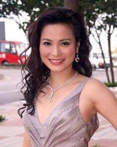 香港动作女演员,璀璨明珠的辉煌之路