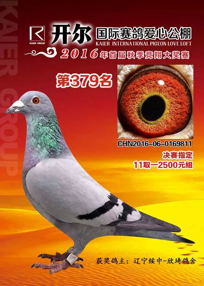 开尔上市日，友情见证，光辉闪耀之时