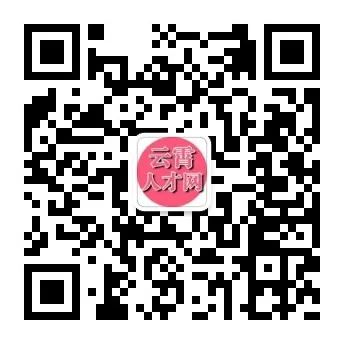 云霄人才网最新职位招聘,时代脉搏下的招聘风云概览