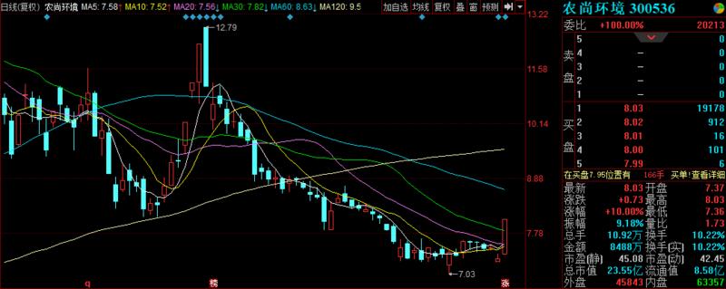 农尚环境股票投资指南,步骤与策略解析