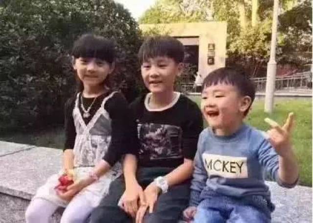 杭州保姆纵火事件最新进展,绿意中的心灵探险与自然对话的奇妙之旅