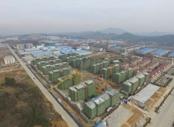 枞阳最新住宅项目揭秘,探索现代居住新境界