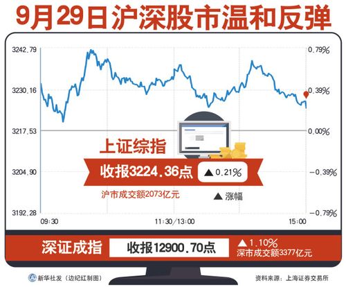 股票新闻最新动态,股市信息与欢乐生活的交汇