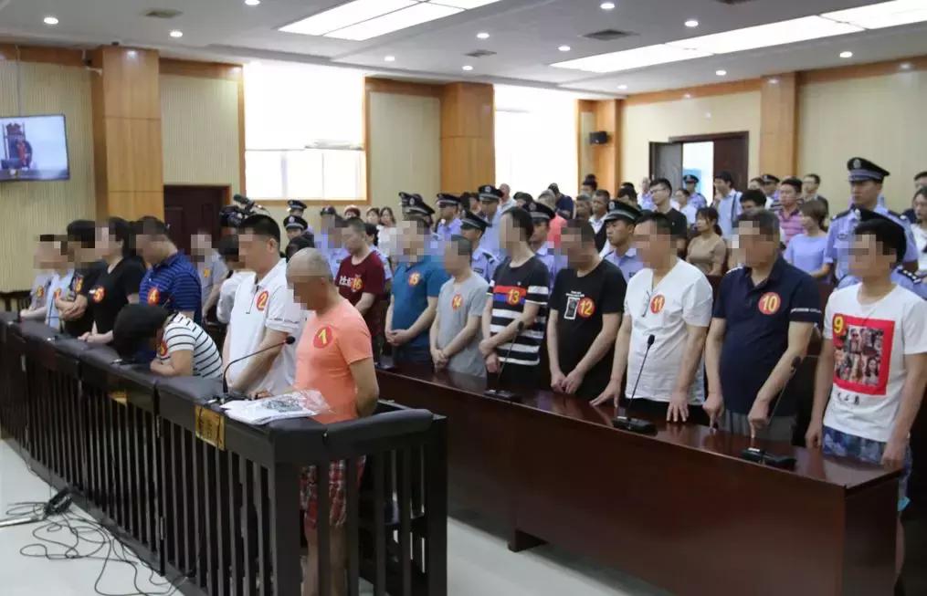 林跃庆引领科技新纪元,打造生活新体验,最新消息揭秘