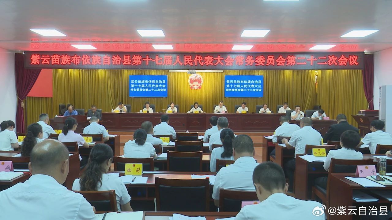 紫云最新动态揭秘,新篇章带你领略紫云最新新闻热点!