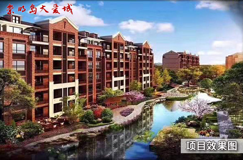 崇明最新房价揭秘，巷弄深处的惊喜房源探索
