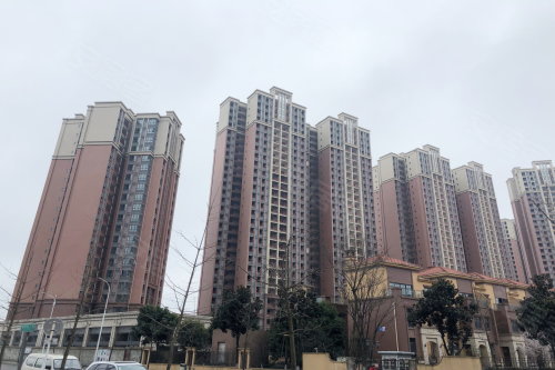 郫县最新房价，自然之旅中的内心宁静寻觅