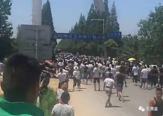 邳州郯城大战最新进展报道