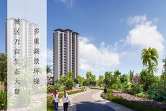 海口最新楼盘开盘指南，从入门到精通的购房手册