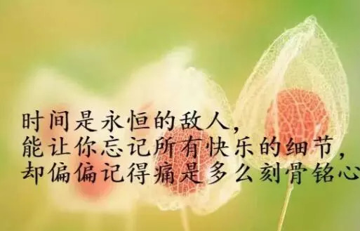 最新说说大全，撰写高质量、吸引人的说说技巧与示例