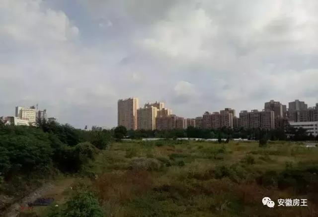合肥最新土拍，多方博弈下的市场走向深度分析