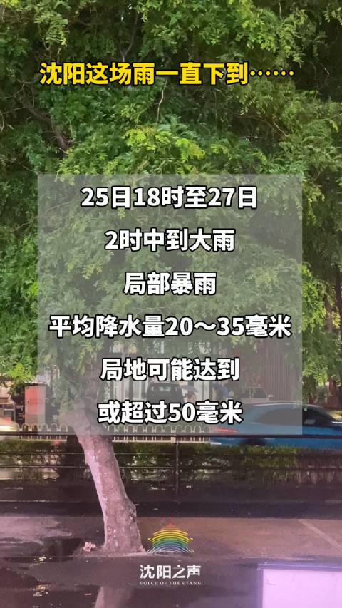 沈阳大雨背后的故事，变化、学习与自信的力量