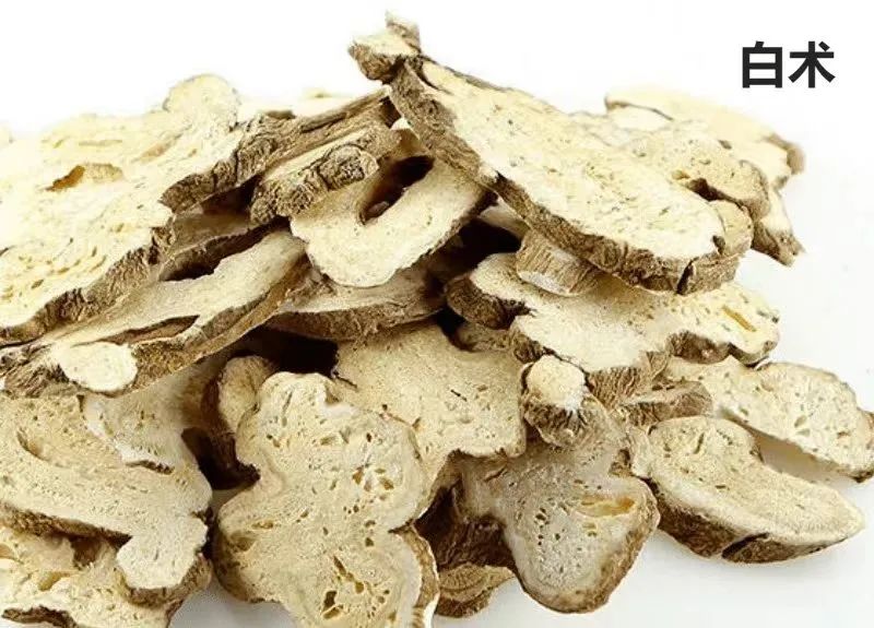 白术最新价格及其市场影响深度解析