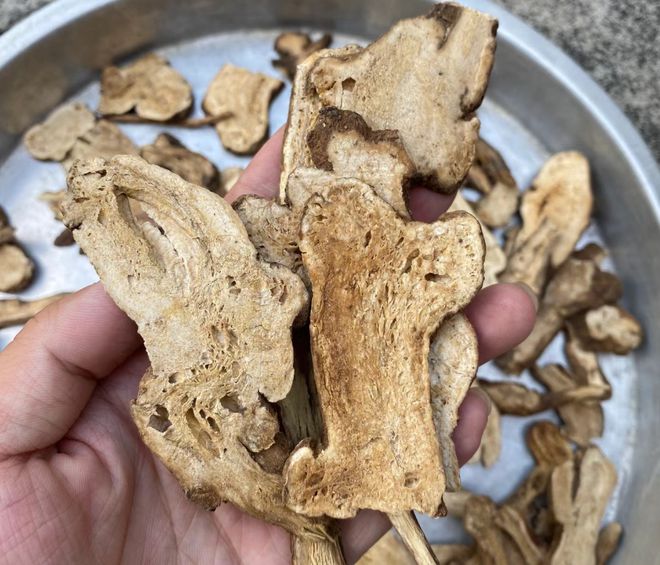 白术最新价格及其市场影响深度解析