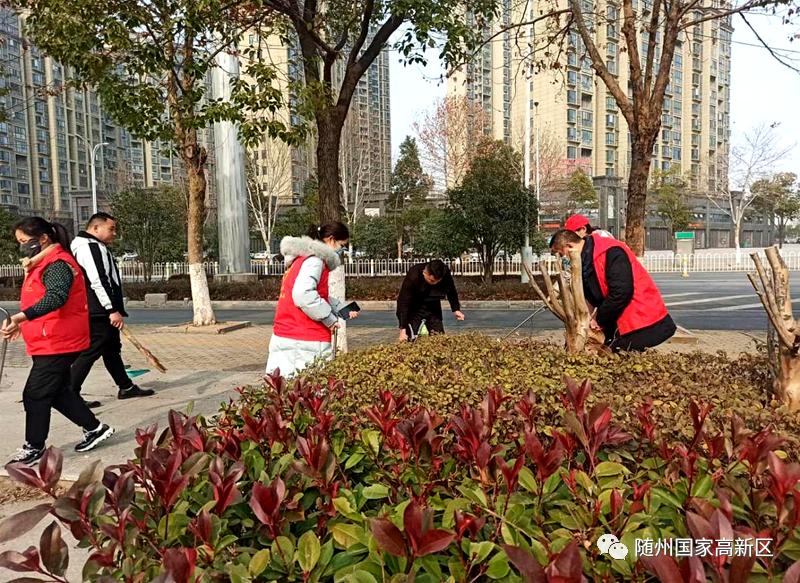 随州干部调整最新动态及步骤指南,初学者与进阶用户必读