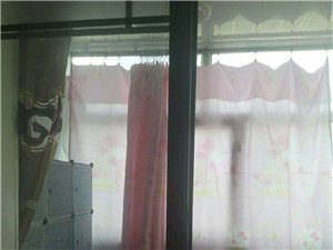 莫旗最新租房，家的温馨与友情的交织绽放