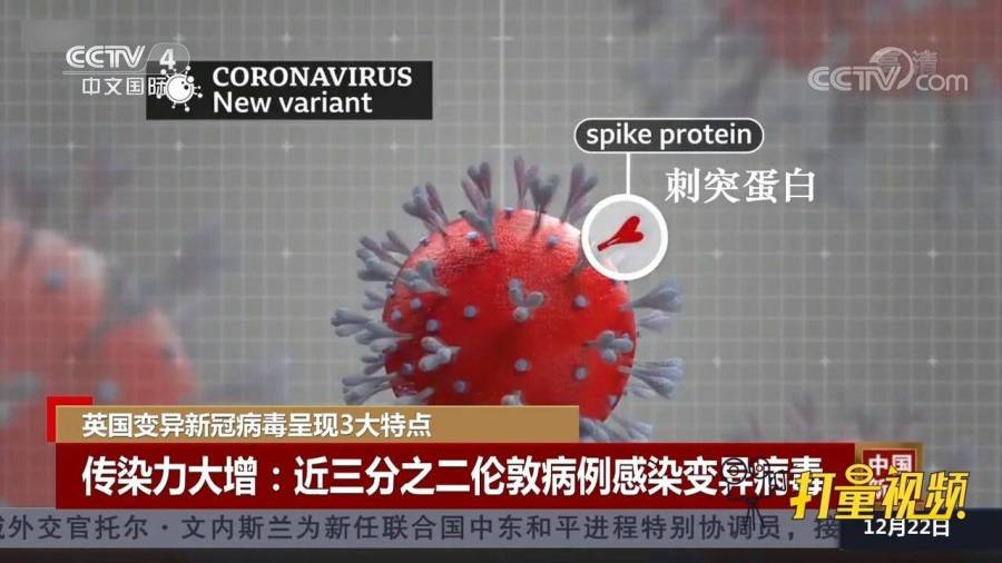 最新资讯病毒详解，获取、理解与应对的全方位指南