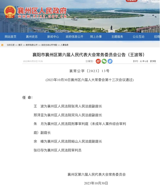 湖北领导层最新任免动态，调整与展望