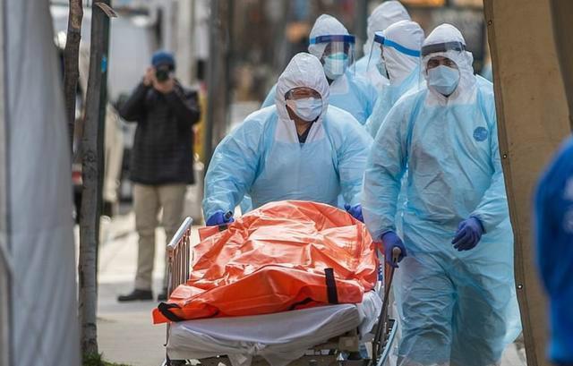 共同关注与应对，最新疫情动态及死亡情况更新