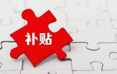 最新企业补贴下的小巷特色小店，独特风味与惊喜之旅