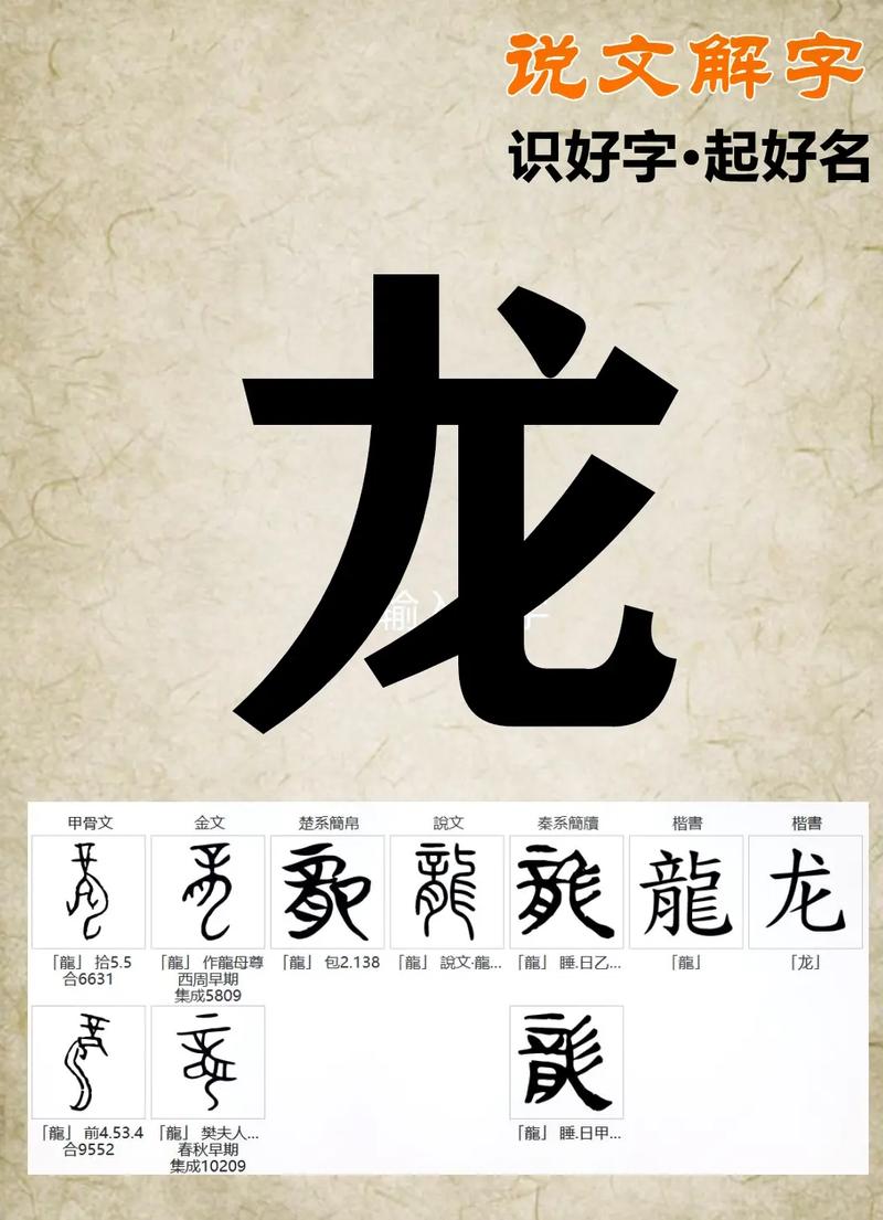 龙组词最新探索，小巷中的隐秘宝藏