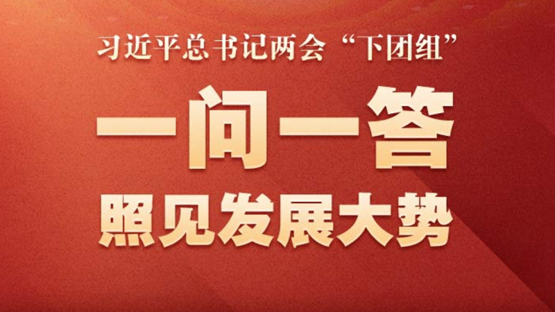 图说时政最新,心灵与自然的奇妙旅行之旅