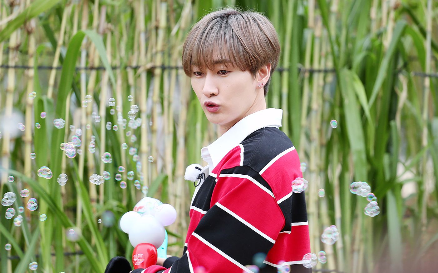 李赫宰最新泡泡,科技引领未来魅力,体验生活重塑