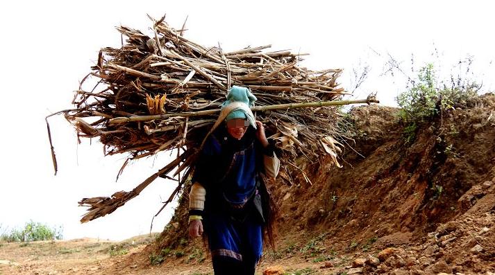 柴火灶台的温暖日常,最新视频集锦
