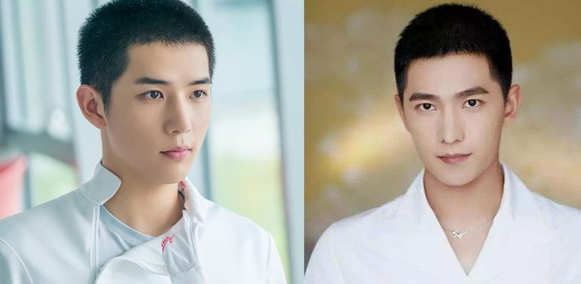 二十不惑最新剧透曝光,青春奋斗路上的惊喜与成长之旅