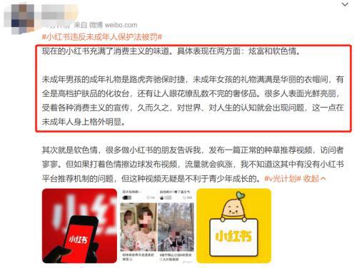 小红书最新处罚通知引发热议,背后的考量与影响