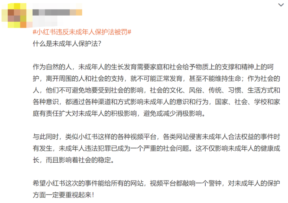 小红书最新处罚通知引发热议,背后的考量与影响