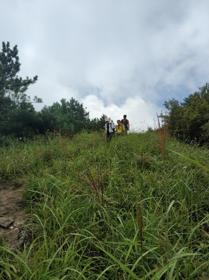 探秘草草最新线路,小巷中的独特风情之旅