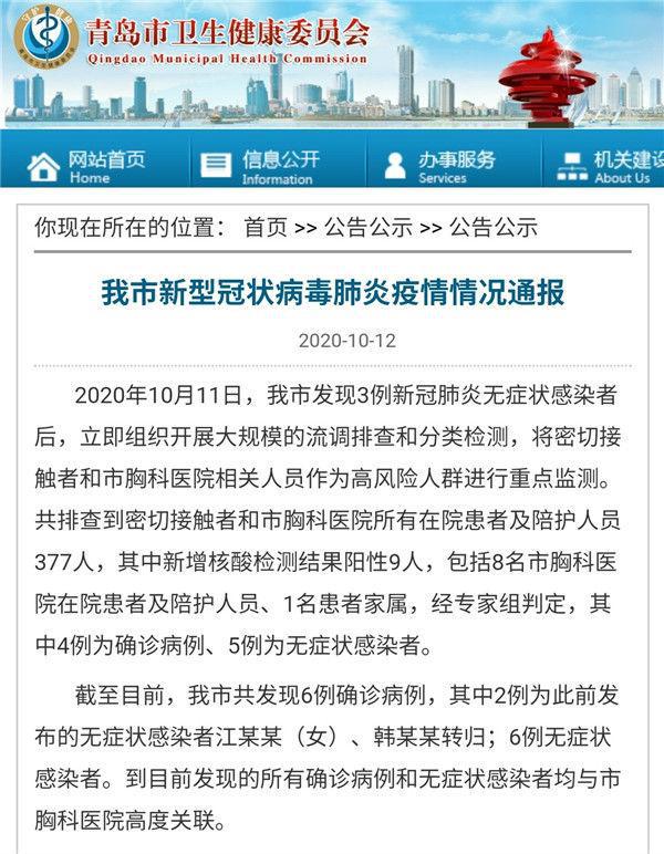 青岛新冠疫情最新动态,病例背景、进展与影响全解析