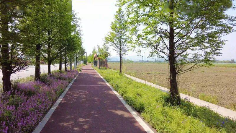 最新第三区,多维度探讨揭秘其独特魅力