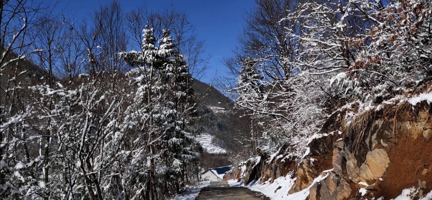 湖北疫情最新动态与隐秘小巷美食探秘之旅