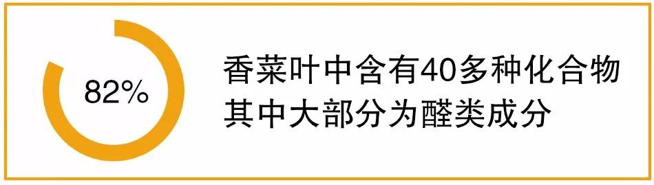 小巷中的秘密美食之旅，探寻最新香菜美食之旅