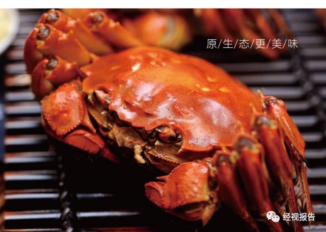 第1209页