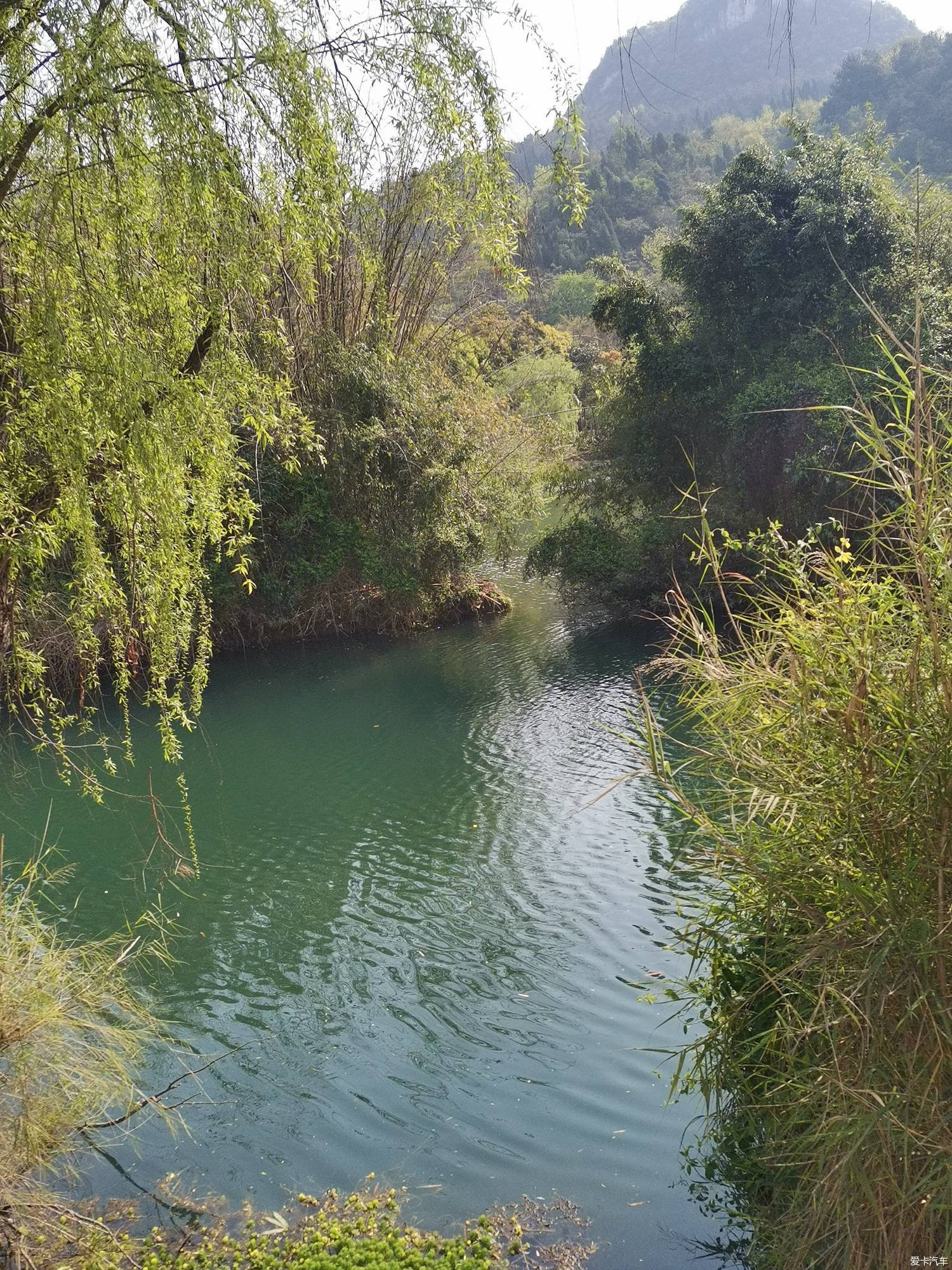秀水最新，小巷中的隐秘宝藏探索