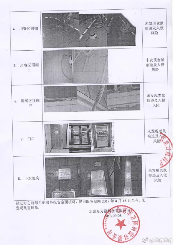 整改最新,整改最新，一场自然美景的心灵之旅