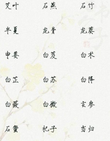 巷弄深处的独特小店，最新起名探索之旅！