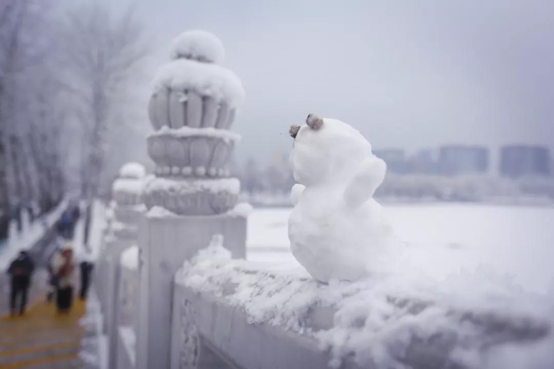雪景最新,❄️雪景最新，梦幻般的冬日画卷！🌨️