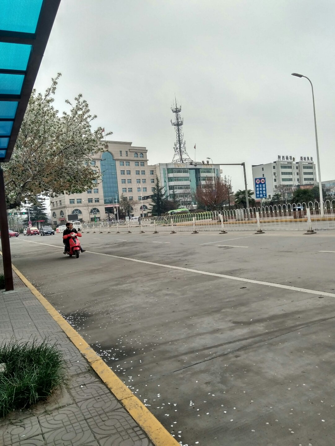 杨陵最新动态，追梦之旅中的自信与成就感提升之路